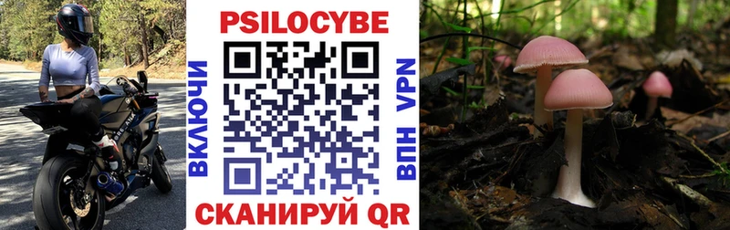 наркота  mega зеркало  Галлюциногенные грибы мухоморы  Октябрьский 