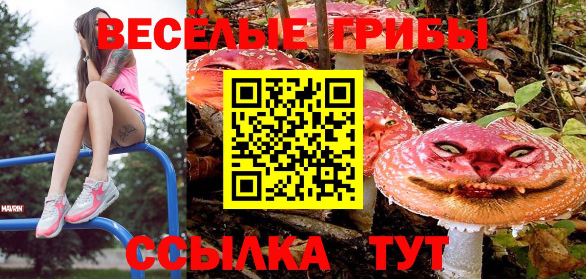 Галлюциногенные грибы Psilocybe  Вход с VPN  цены наркотик  Октябрьский  Псилоцибиновые грибы Magic Shrooms 