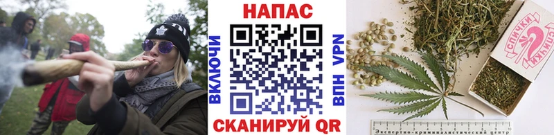 где можно купить наркотик  Октябрьский  Конопля SATIVA & INDICA 